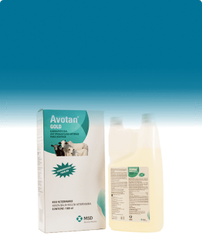 Ganaderia - MSD Salud Animal Panama