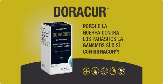 Ganaderia - MSD Salud Animal Panama