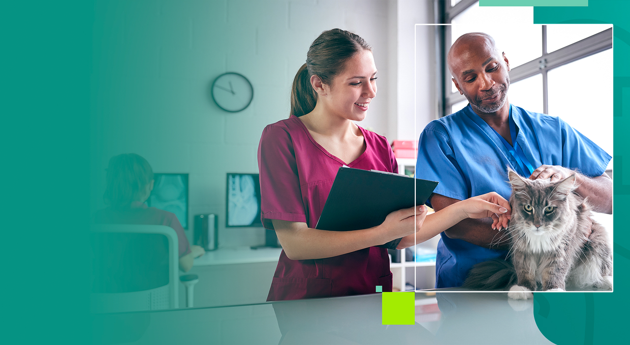 universo salud animal